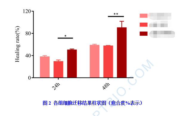 細(xì)胞劃痕實驗數(shù)據(jù)分析