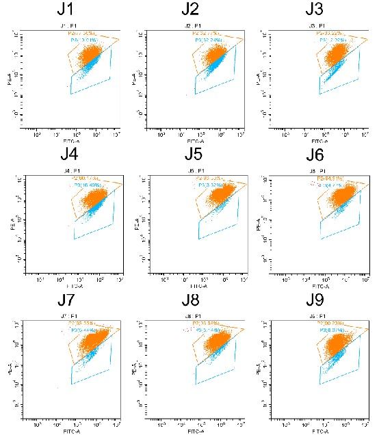 線粒體膜電位檢測