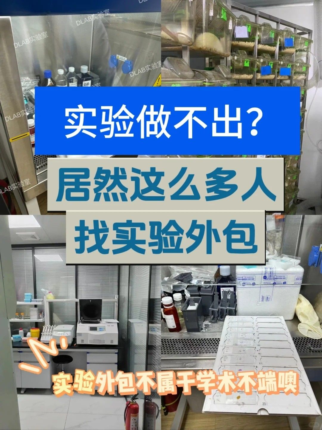 原來(lái)我們周圍有這么多人選擇實(shí)驗(yàn)外包