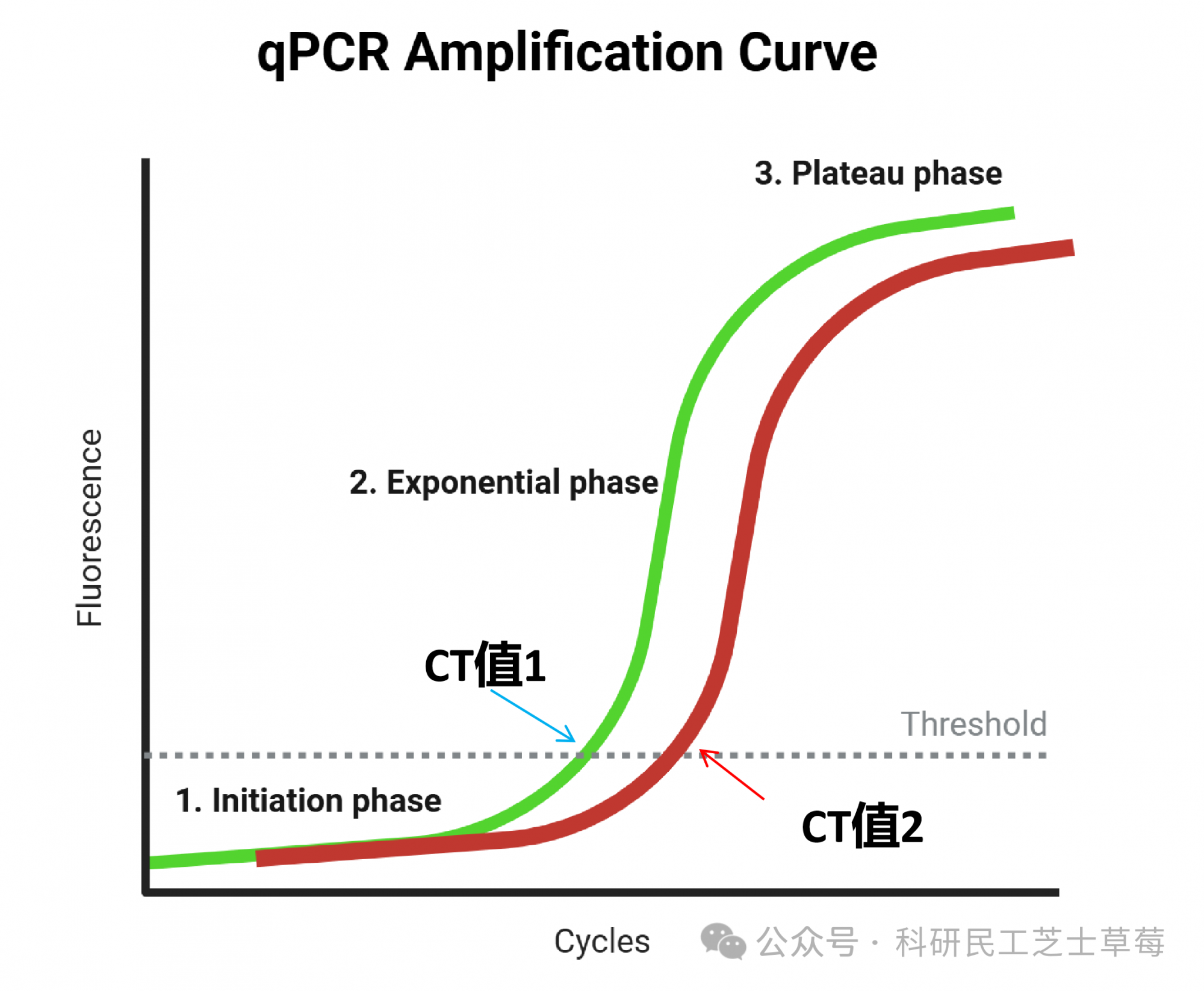 一張圖搞懂qPCR實(shí)驗(yàn)中CT值的定義