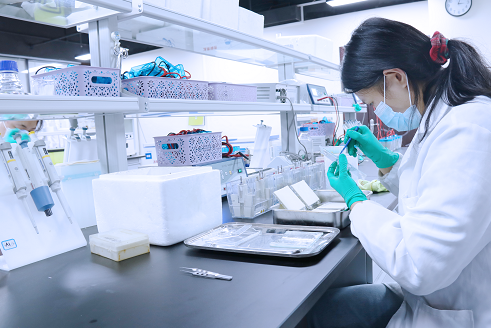 wb檢測 實驗操作