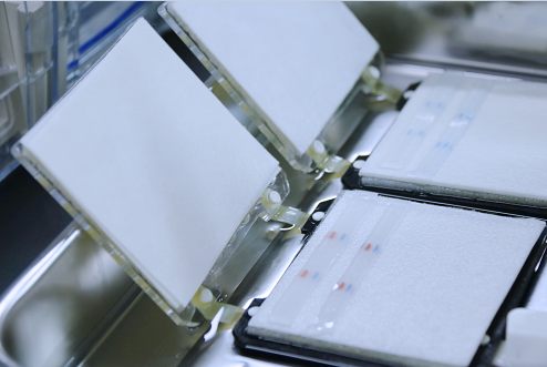 WB檢測(cè)常見問題與解決方法