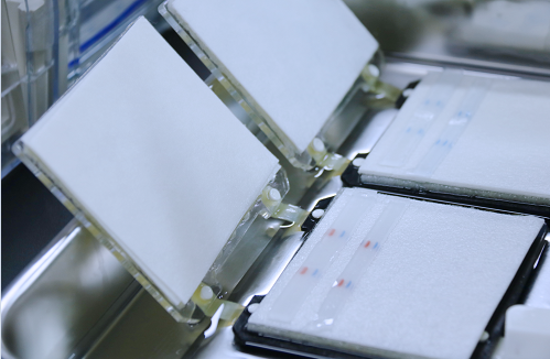 wb檢測 實驗操作