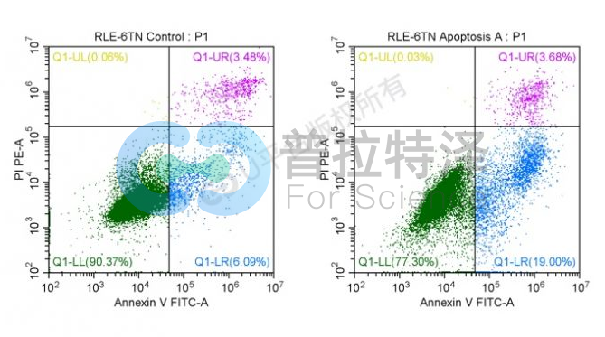 細(xì)胞凋亡檢測(cè)