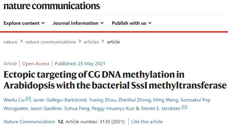 1622106418227001.png 圖1.png